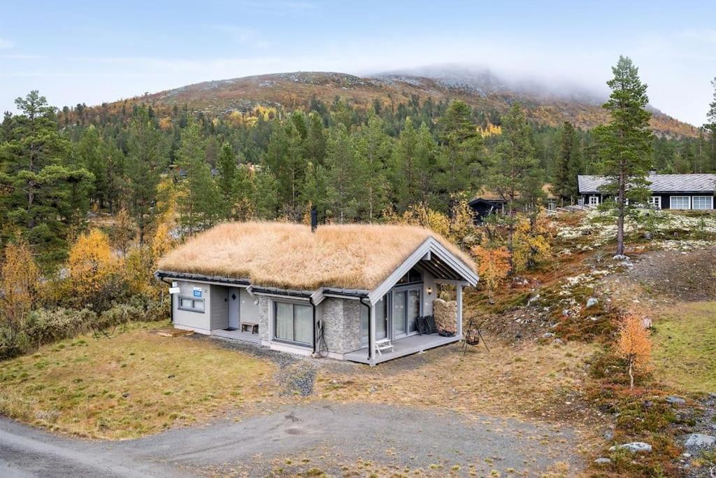 The Cabin At Lemonsjoen Jotunheimen Villa Randsverk Exteriör bild