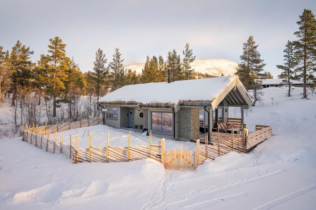 The Cabin At Lemonsjoen Jotunheimen Villa Randsverk Exteriör bild