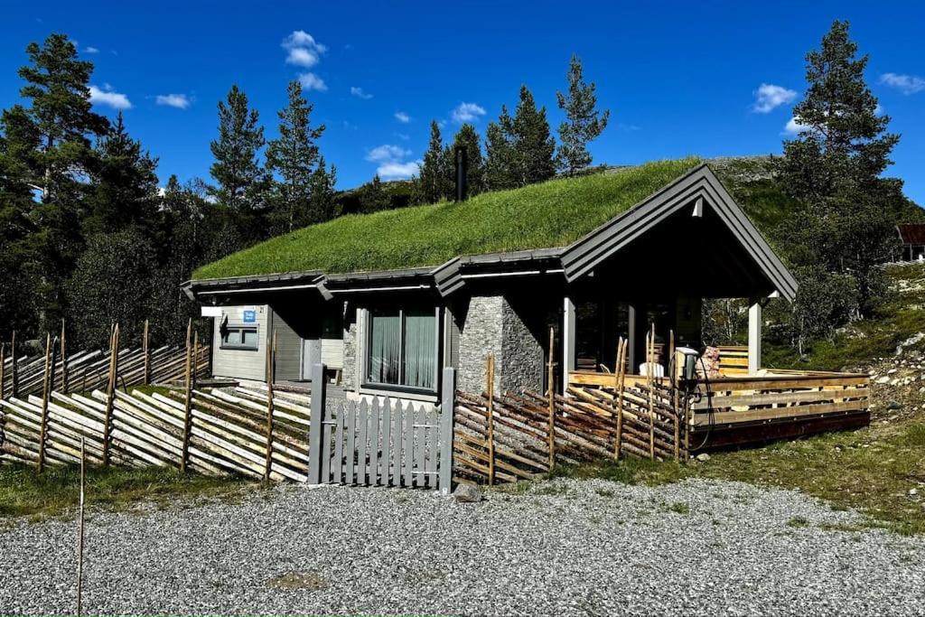 The Cabin At Lemonsjoen Jotunheimen Villa Randsverk Exteriör bild