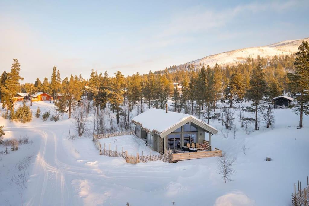 The Cabin At Lemonsjoen Jotunheimen Villa Randsverk Exteriör bild