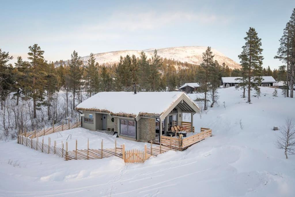 The Cabin At Lemonsjoen Jotunheimen Villa Randsverk Exteriör bild